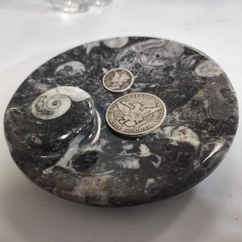 cropped 16842198305341848673389153245723.jpg