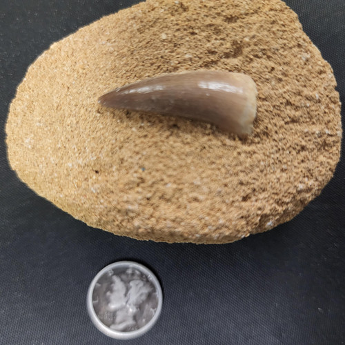 cropped 16842106935905749862459752405742.jpg