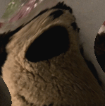 Mookie eats a lemon.gif