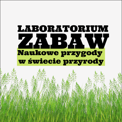 IP kwadrat Plenrowe zabawy 6.png