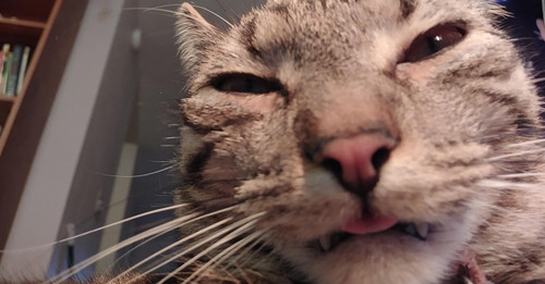 Başlıksız 40.jpg