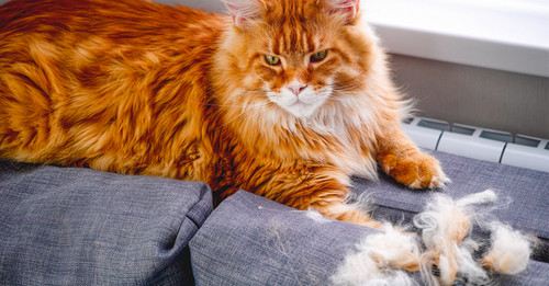 Başlıksız 42.jpg