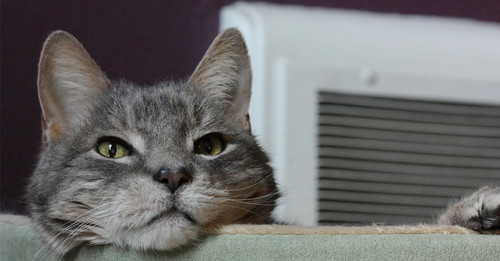 Başlıksız 46.jpg