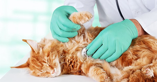 Başlıksız 39.jpg