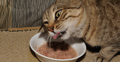 Başlıksız 54.jpg