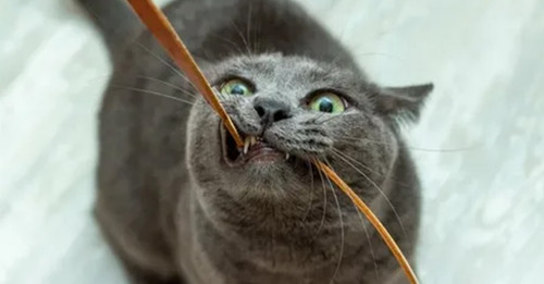 Başlıksız 48.jpg