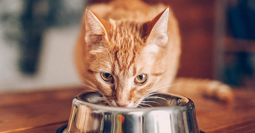 Başlıksız 55.jpg