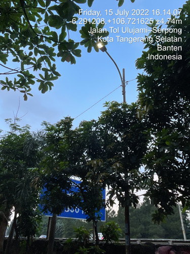TC 00625.jpg