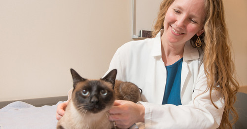 Başlıksız 56.jpg