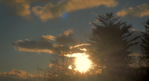 Sayonara.2160p.WEB DL.H265.AAC Xeon921.mkv 20230510 220543.655.png