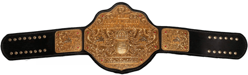 44 World Belt Champ (2) (1).png