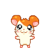 0a6246318077e29154d87bb9a30478fb w200.gif