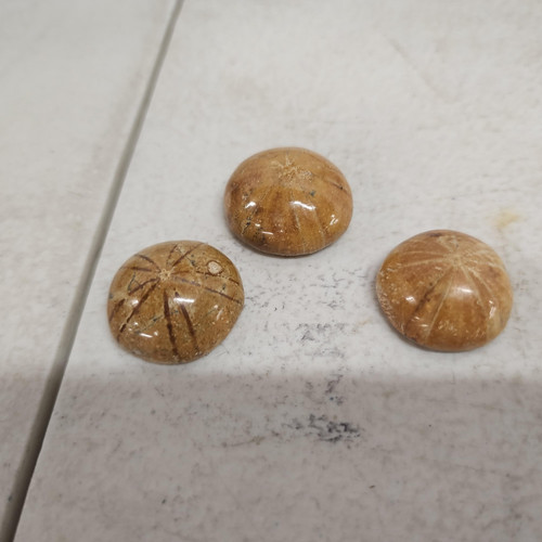 cropped 16840371973174208690787850522420.jpg