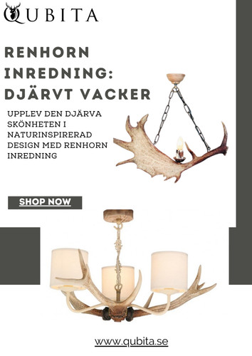 Renhorn inredning Djärvt vacker design.jpg