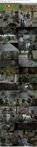 Wreaths.at.the.Foot.of.the.Mountain.1984.BluRay.1080p.DTS HD.MA.2.0.x265.10bit BeiTai preview.jpg