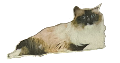 cat4.png