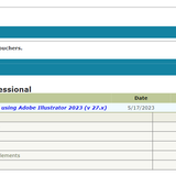 Daniel's Adobe Certification Exam Results (May 17, 2023)
