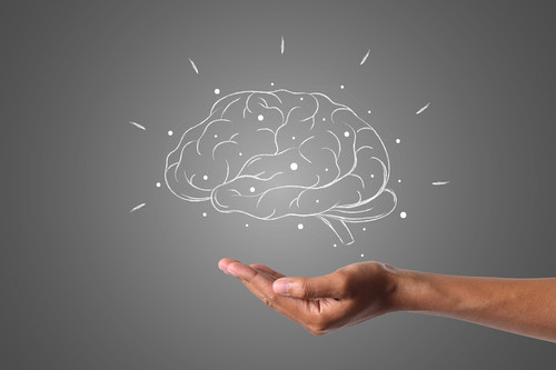 brain 4961452 1920.jpg