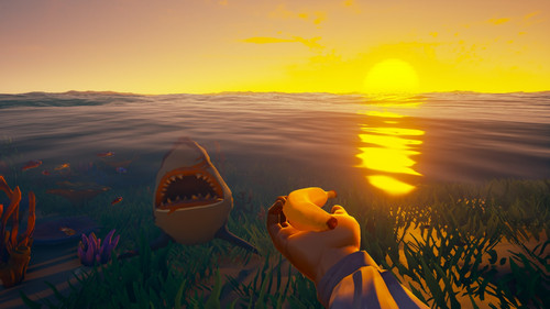 IMG 20221119 024527 970