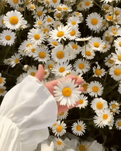 tumblr 7ab076a7bca988acd552b56bfff850b0 87803118 540.gif