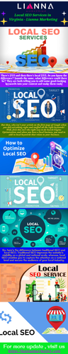 Local SEO Services in Virginia Lianna Marketing.png
