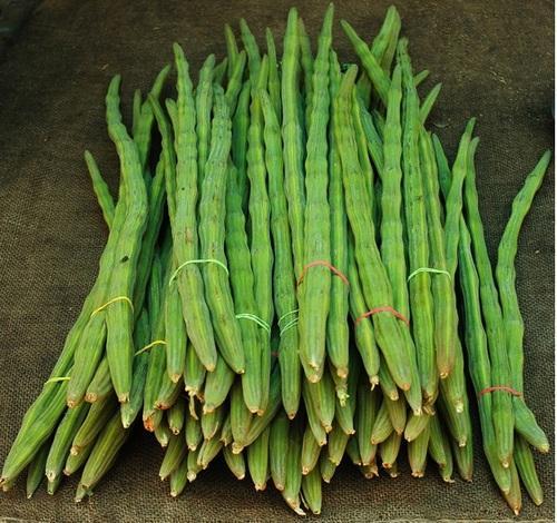 drumstick vegetable.jpg
