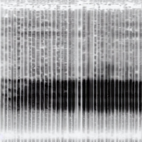 684e211d 6b0f 4f4a 94b5 07804d9d8c5e.png