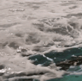 ezgif 5 8a19da4b66.gif