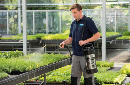Pest Control Services in Dublin - Safe & Effective Solutions.jpg