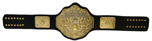 WorldChampionshipBelt 044 1 1 (1).png