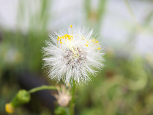 AGC 20230515 151508583.jpg