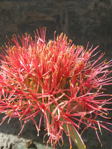 IMG 20230508 151031.jpg