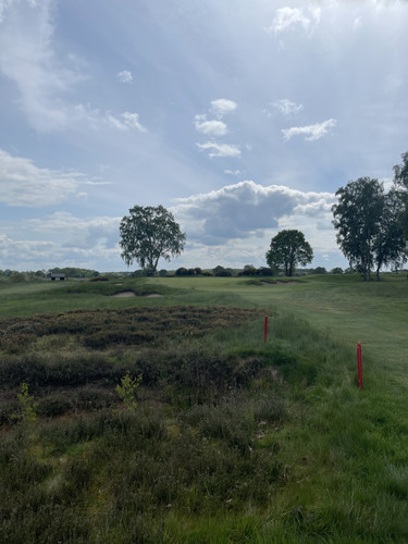 5C1543F9 D8AC 4240 B69D AC4FEBFFE450.jpg