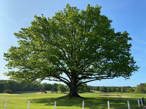 7C793A7B 0DC2 47BF 889D F03AE773DCF9.jpg