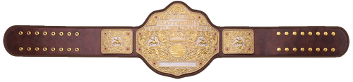 HULfv6b WorldBelt (2).png