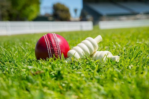 cricket.jpg