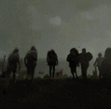 BelatedGentleGermanwirehairedpointer max 1mb.gif