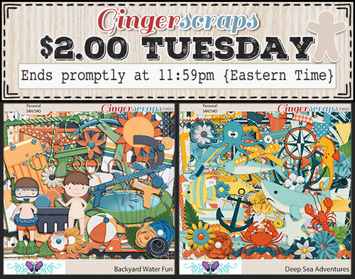 2DollarTues5 23.jpg