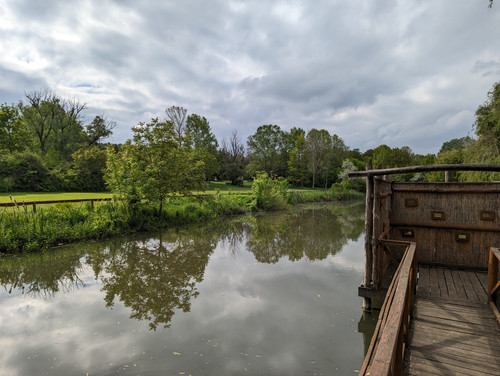 PXL 20230513 140614607.jpg