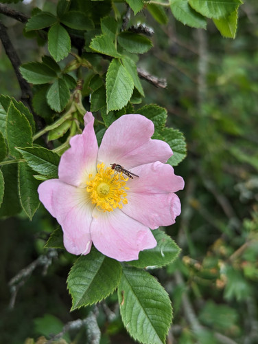 PXL 20230513 121723453.PORTRAIT.ORIGINAL.jpg