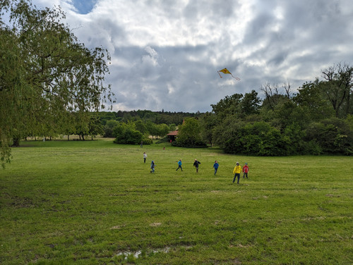 PXL 20230513 140751430.jpg