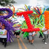 ezgif.com resize (2)