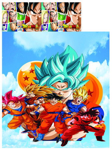 DRAGONST95153 (1).jpg