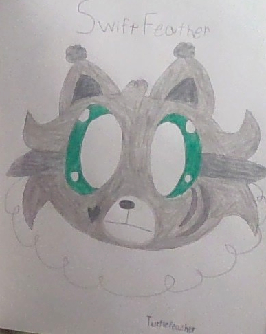 IMG 20230517 203749.jpg