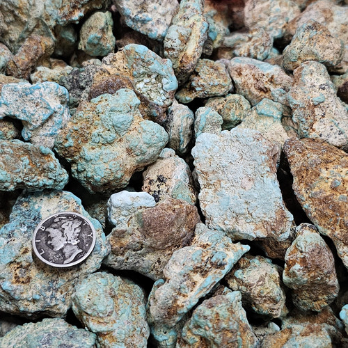 cropped 1684381759821857584650905672425.jpg