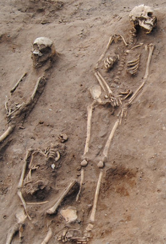 la fosa comun contenia los restos de 48 personas todas ellas fallecidas a causa de esta enfermedad e.jpg