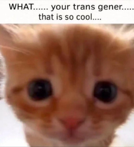 3072C6BD BE8C 4542 8564 C6AD690630CB.jpg