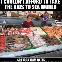 337150770 227515953173600 4192413857869512809 n.jpg?stp=c0.7.205.205a dst jpg p75x225& nc cat=102&cc.jpg