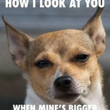 336567136 3645750282324415 4707175320439589794 n.jpg?stp=c0.10.206.206a dst jpg p206x206&amp; nc cat=103