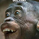 336372894 219056713976701 7675602517189341930 n.jpg?stp=c0.34.206.206a dst jpg p206x206&amp; nc cat=105&amp;